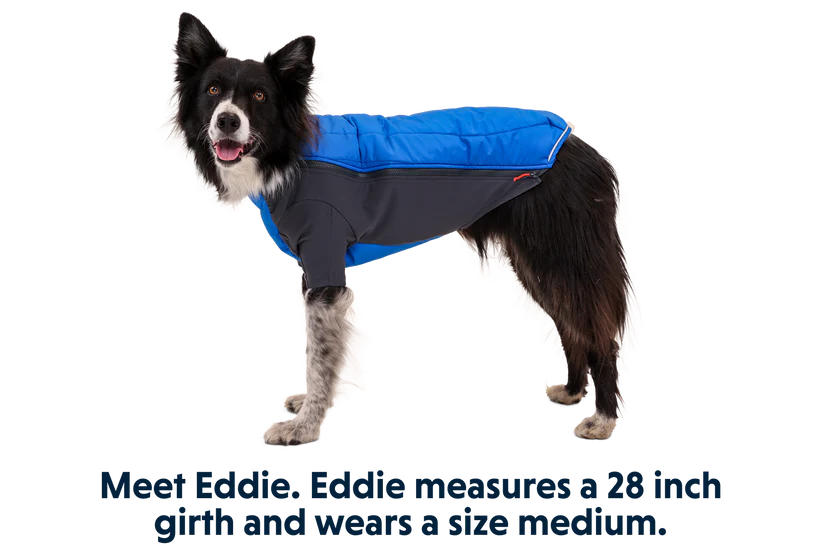 Powder Hound™ Winterjacke