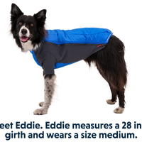 Powder Hound™ Winterjacke