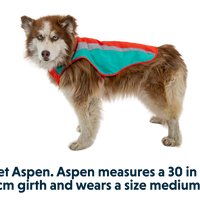 Lumenglow™ High-Vis Hundejacke