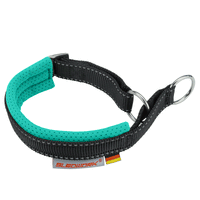 Safety Collar- Active Halsband Sledwork