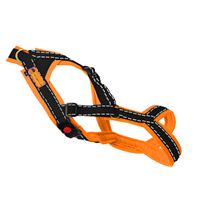 Trailgeschirr Snowpaws Nukka