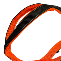 Trailgeschirr Snowpaws Nukka Airmesh Neonorange