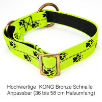 Axaeco Schlittenhundehalsband Reflex