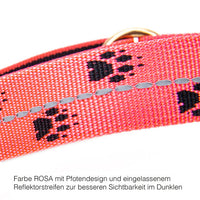 Axaeco Schlittenhundehalsband Reflex