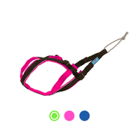 Open-Back Zuggeschirr für kleine & kompakte Hunde – ergonomisch, verstellbar & sicher