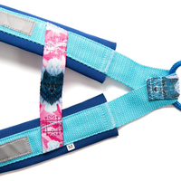 Eine Detailaufnahme des Inua Hundegeschirr in blau zeit die liebevollen Bemusterungen und Bestickungen