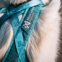 Ein Detailfoto des Non Stop Dogwear Logos auf dem Rush Harness Geschirr