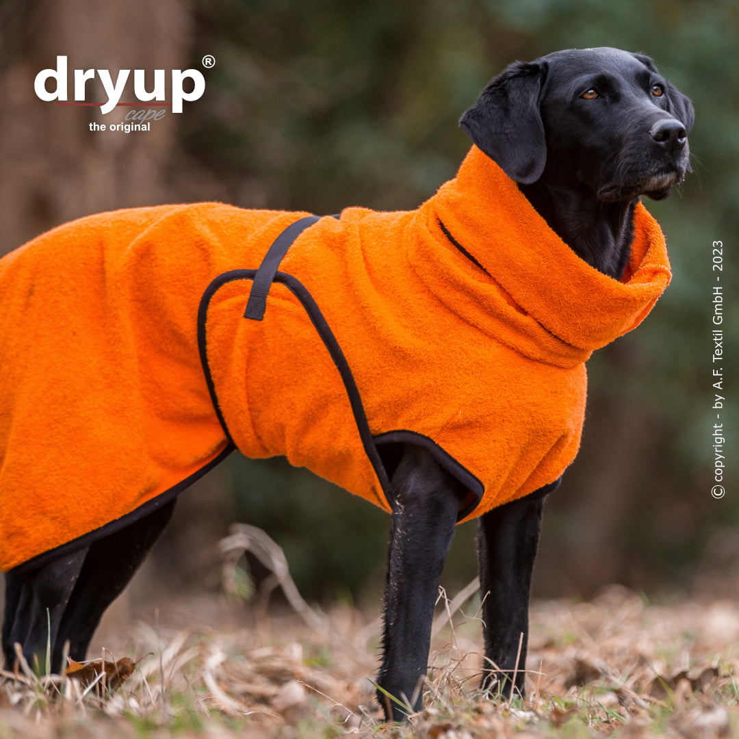 ein schwarzer Hund in orangem Dryup Cape Hundebademantel