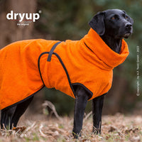 ein schwarzer Hund in orangem Dryup Cape Hundebademantel