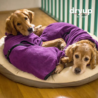 Dryup cape Hundebademantel in lila