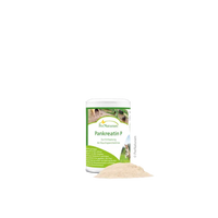 Eine Dose Pankreatin P