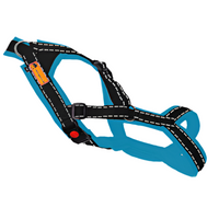 Trailgeschirr Snowpaws Nukka