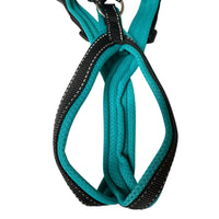 Trailgeschirr Snowpaws Nukka Airmesh Eisblau