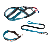 Sledwork Xback Active Mini Set | Zuggeschirr, Halsband & Zughundeleine