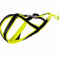 Zuggeschirr Sledwork Xback Active G2