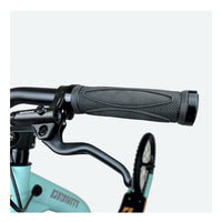 Gravity M10 Trail Dogscooter