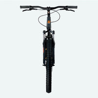 Gravity M10 Trail Dogscooter