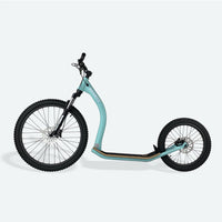 Gravity M10 Trail Dogscooter