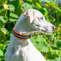 Halsband Soft Klickverschluss