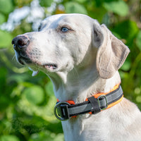 Halsband Soft Klickverschluss