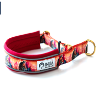 InuaDogs Hi Comfort Zugstophalsband | verschiedene Muster und Farben