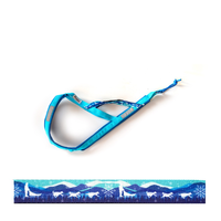 Blau Weisses Zuggeschirr auf weißem Hintergrund