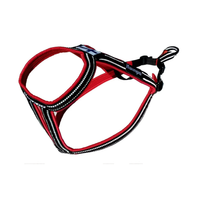 Kainpo Sprint Zuggeschirr Kainpo – Performance-Geschirr für Canicross, Bikejöring & Dogscooter