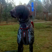 Kainpo Sprint Zuggeschirr Kainpo – Performance-Geschirr für Canicross, Bikejöring & Dogscooter