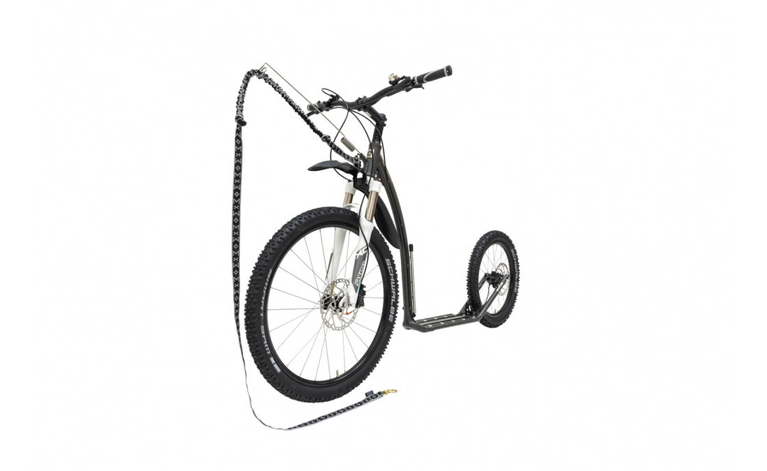 Kostka Mushing Pro G6