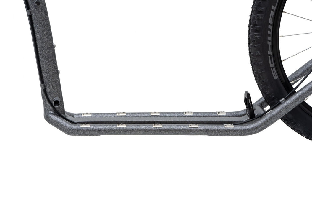 Kostka Mushing Racer Max G6