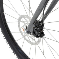 Kostka Mushing Racer Max G6