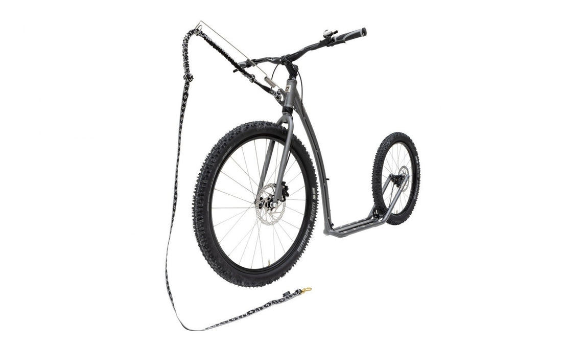 Kostka Mushing Racer Max G6