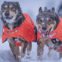 Long Disctance + Jacket