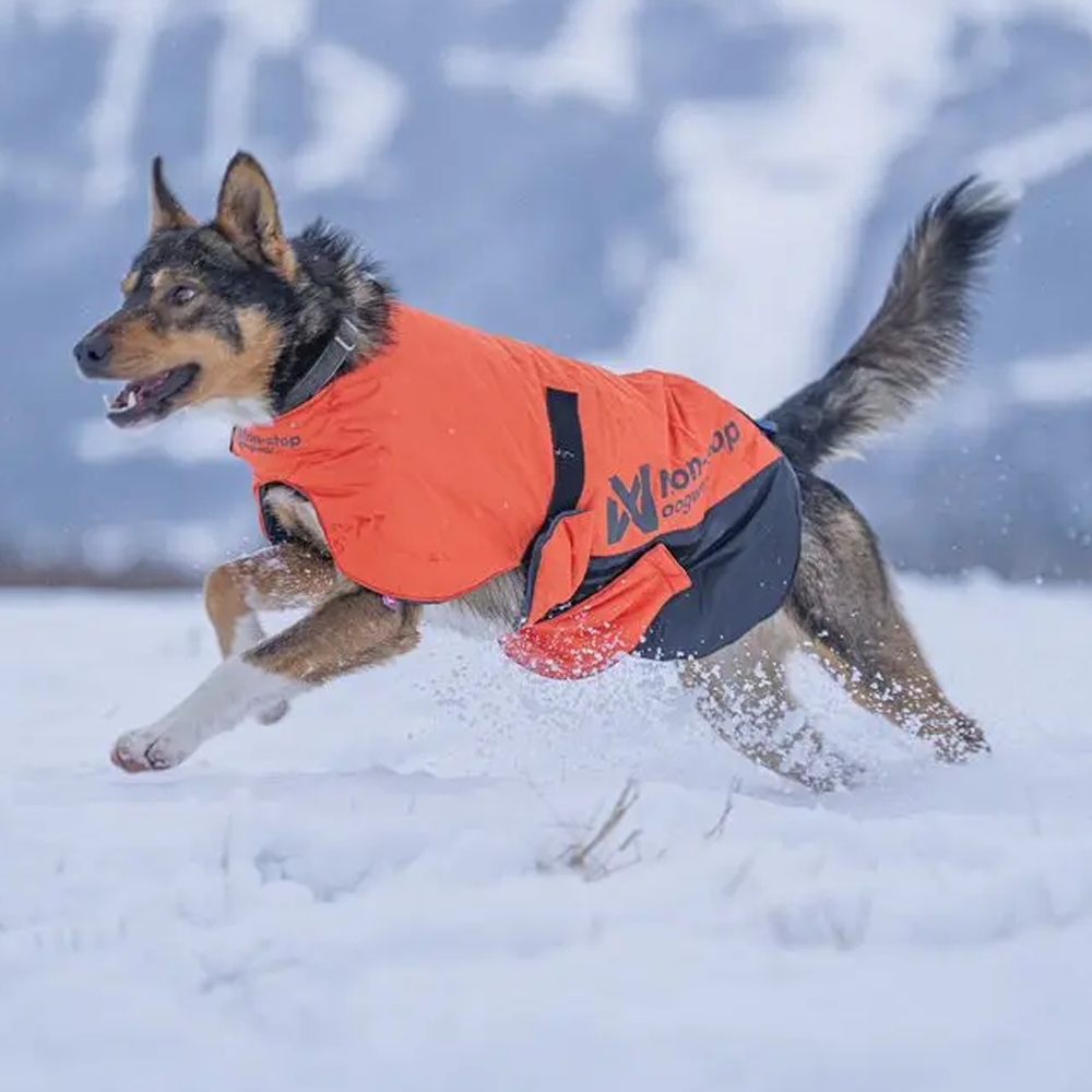 Long Disctance + Jacket