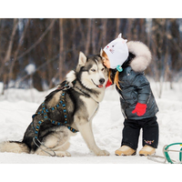 X-Back Zuggeschirr Sled ManMat