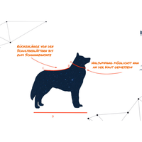 InuaDogs X-Back / Grün / Mystic Owl