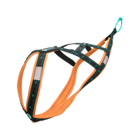 Musher KOYUK R-Back – Zuggeschirr für Hobby & Sport