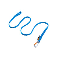 Eine blaue Leine liegt geschwungen auf weißem Hintergrund