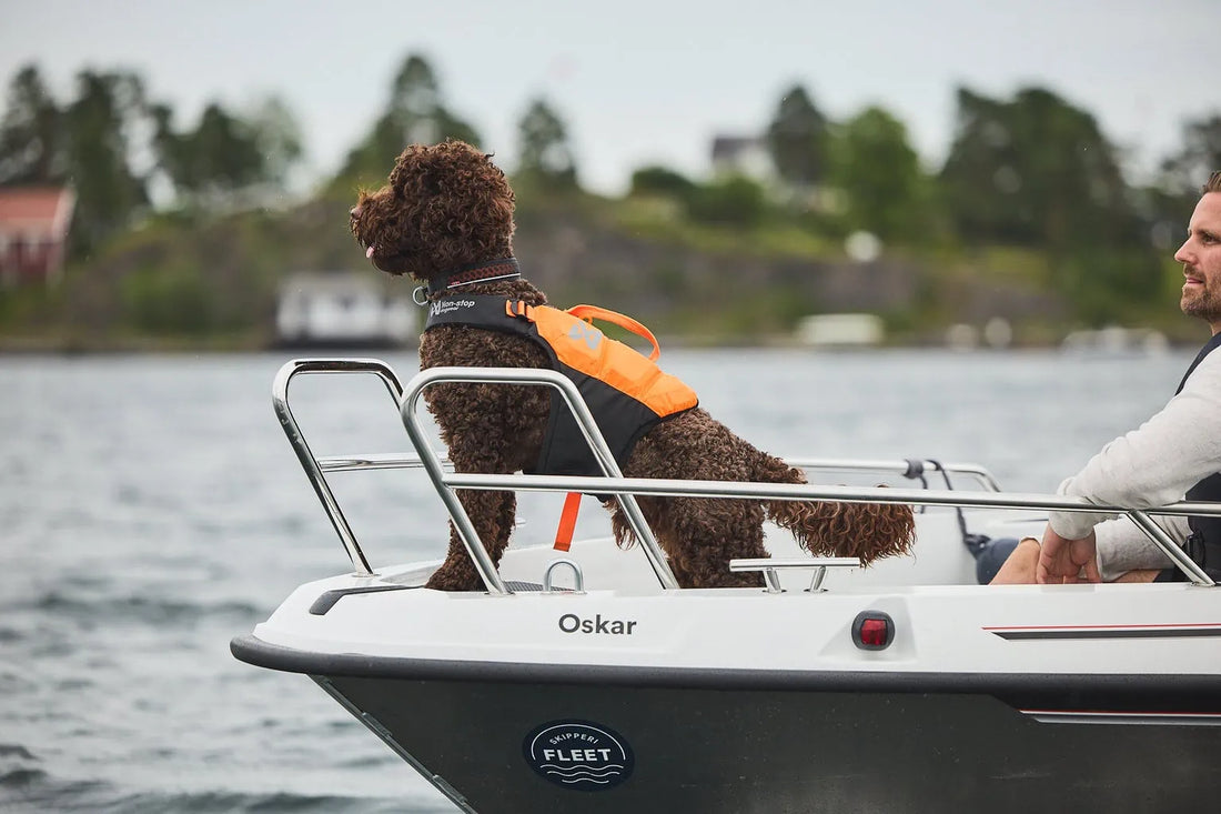 Non-stop Dogwear Protector Life Jacket