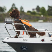 Non-stop Dogwear Protector Life Jacket