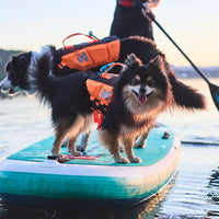 Non-stop Dogwear Protector Life Jacket
