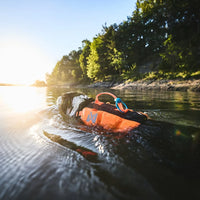 Non-stop Dogwear Protector Life Jacket
