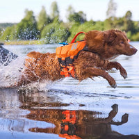 Non-stop Dogwear Protector Life Jacket