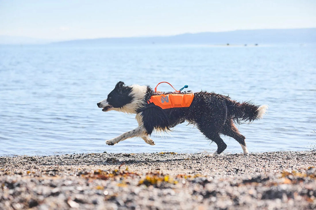 Non-stop Dogwear Protector Life Jacket