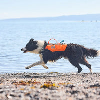 Non-stop Dogwear Protector Life Jacket