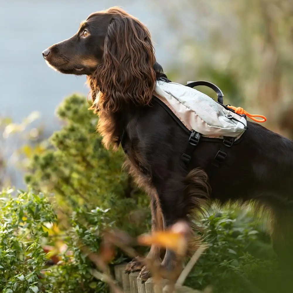 NonStop Trail light Dog Backpack leichter Hunderucksack
