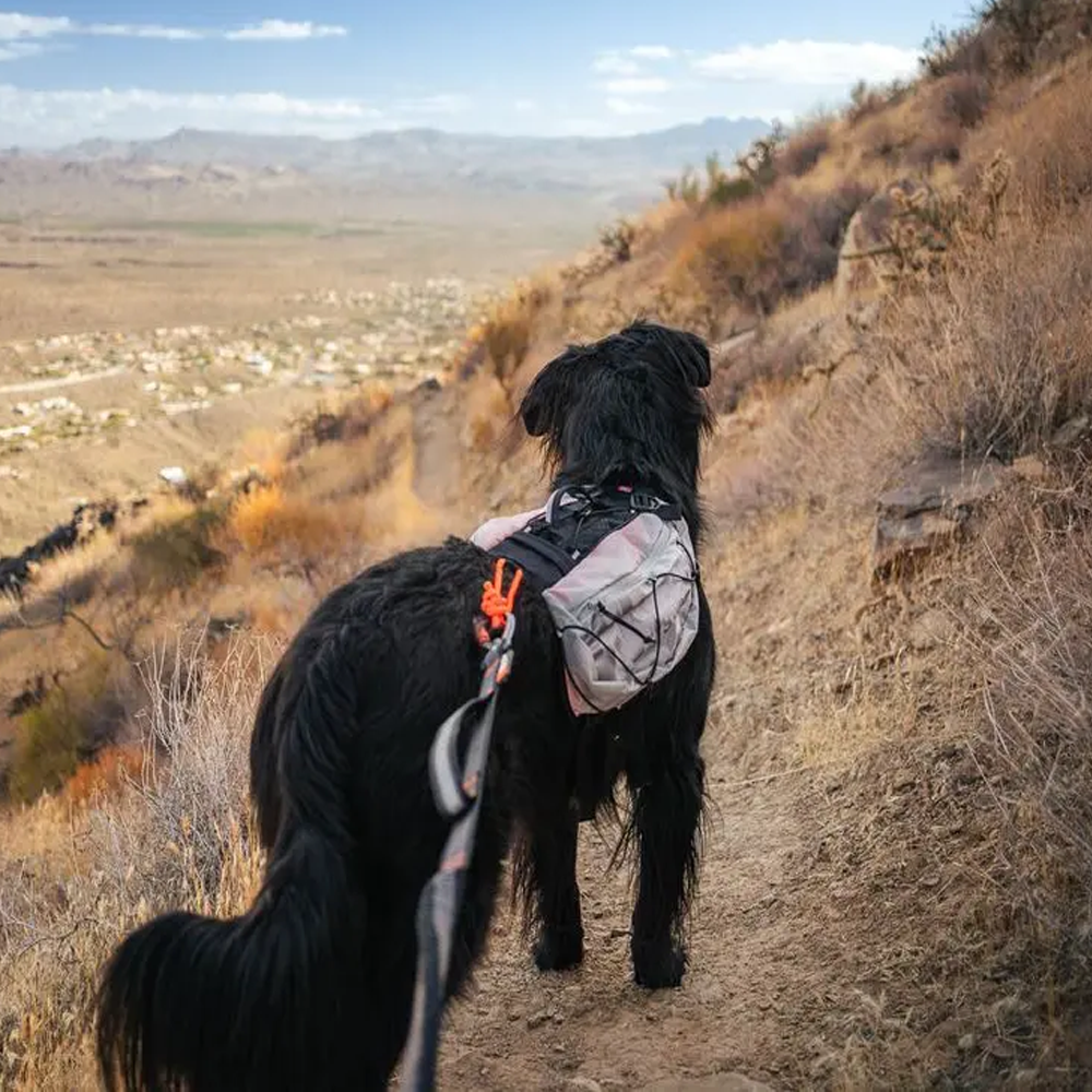 NonStop Trail light Dog Backpack leichter Hunderucksack