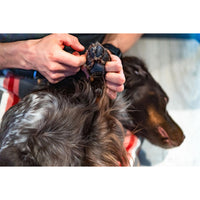 Ein Mensch hält eine Hundepfote hoch