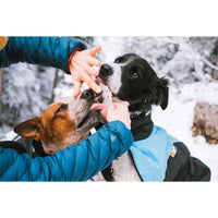 Ein Mensch hält eine Hundepfote hoch und cremt diese ein