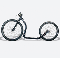 Gravity Pulka R Dogscooter